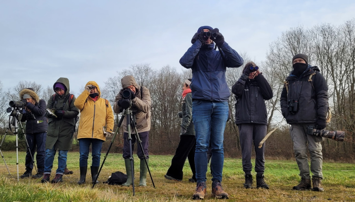 Initiation au comptage Wetlands : action réussie !